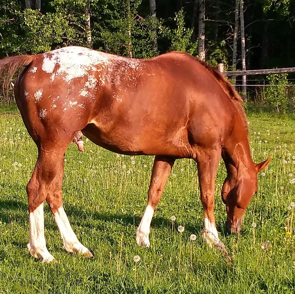 Meet your Posher, Juanita